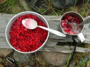 Красная смородина с сахаром.